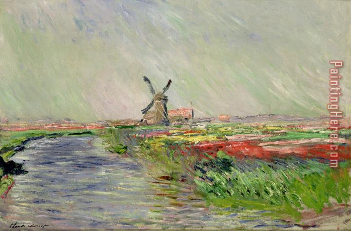 Claude Monet Tulip Field in Holland